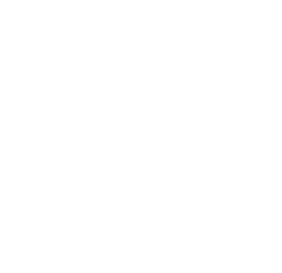 Polkadot_Token_White